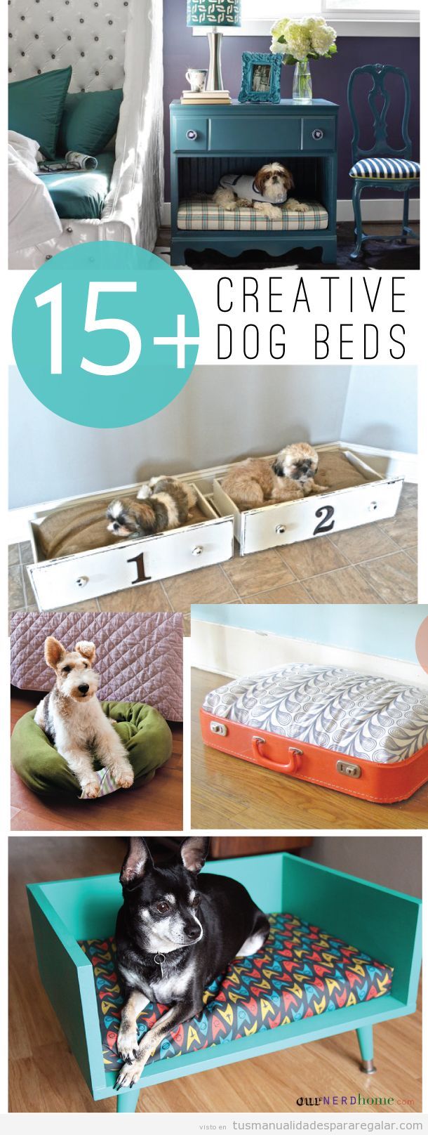 Ideas originales, camas DIY para perros